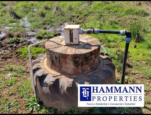 FARM FOR SALE IN LOUIS TRICHARDT RURAL